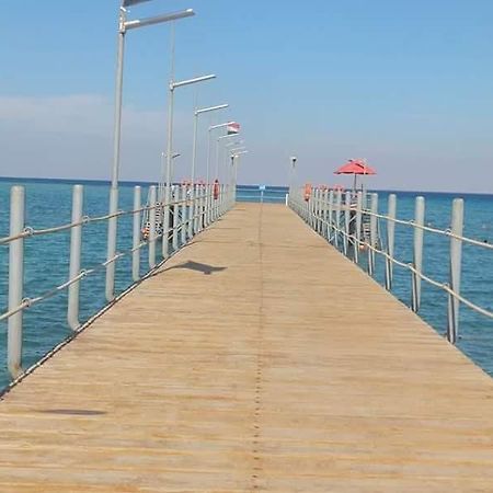 Chalet Porto South Beach - Beach Front Sea View ไอน์ ซกนา ภายนอก รูปภาพ